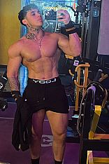 Photo #6 of Maico Exótico Trans