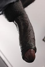 Andy Escort Masculino