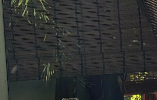 Señor Grey Male Escort