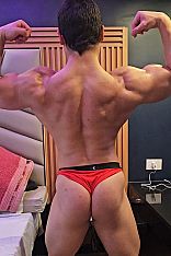 Foto #19 de Arnold