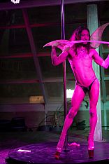 Photo #3 of Exotic Ivo