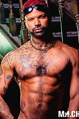 Eustranio Escort Masculino