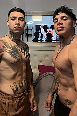 Photo #2 of Maico Trans y Cosmo