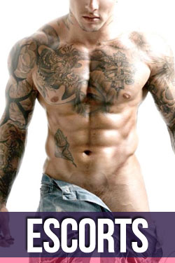 Acompañantes Masculinos y Escorts Masculinos en Argentina Leonos