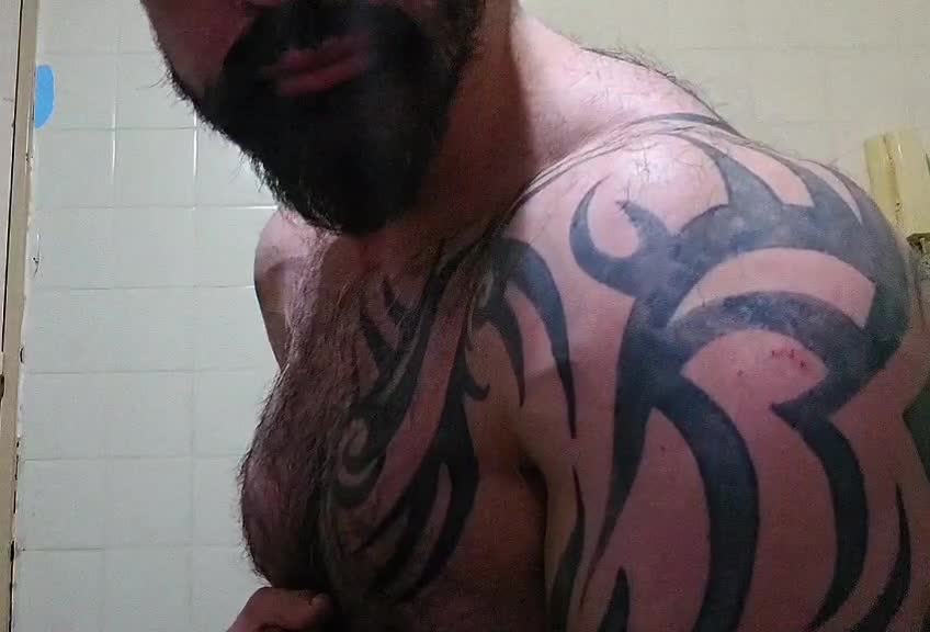 Video 3 of Norbert