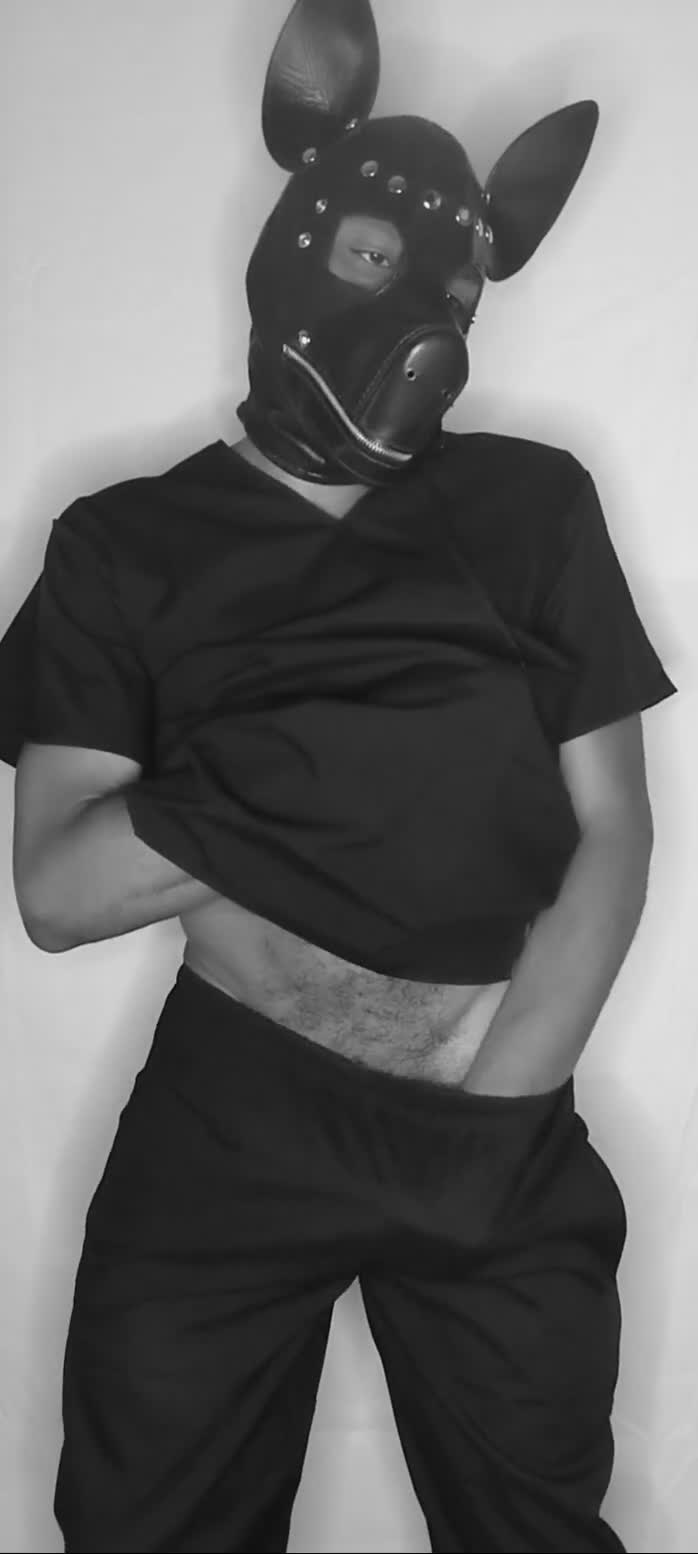 Video 1 of Cachorro Relax