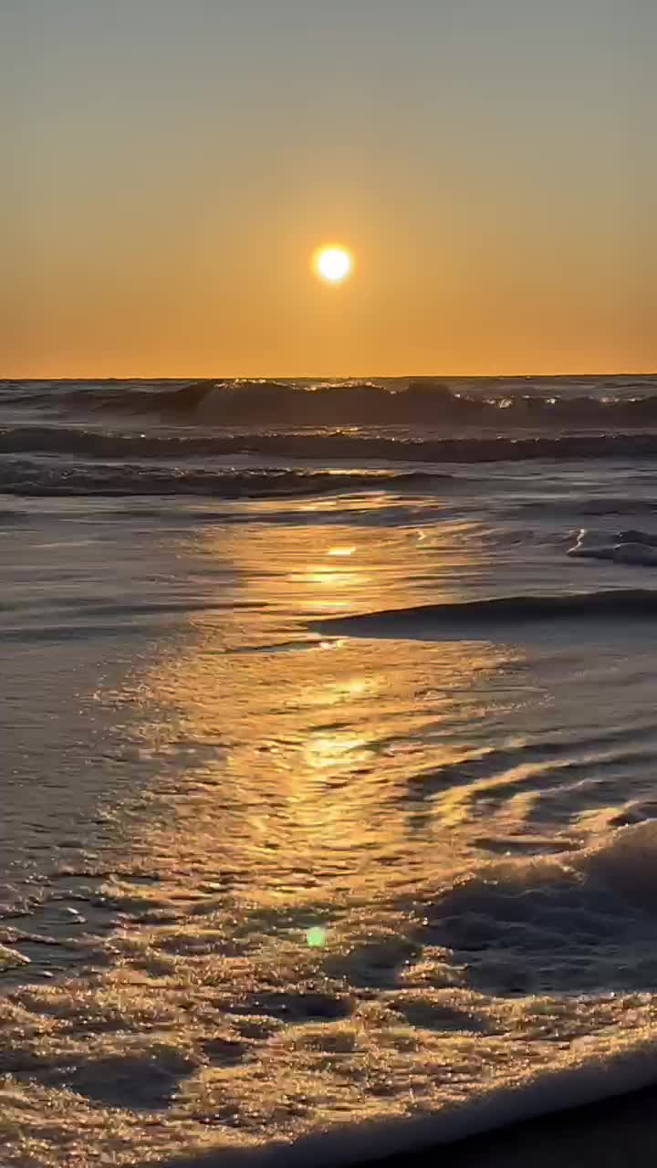 Video 4 of ITALIAN FORCE